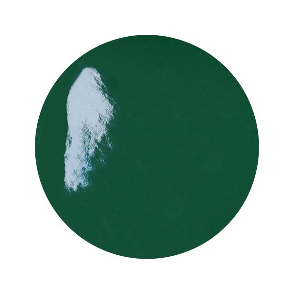 lot-de-54-pastilles-adhesives-standard-vert-o-100-mm-ep-016-mm