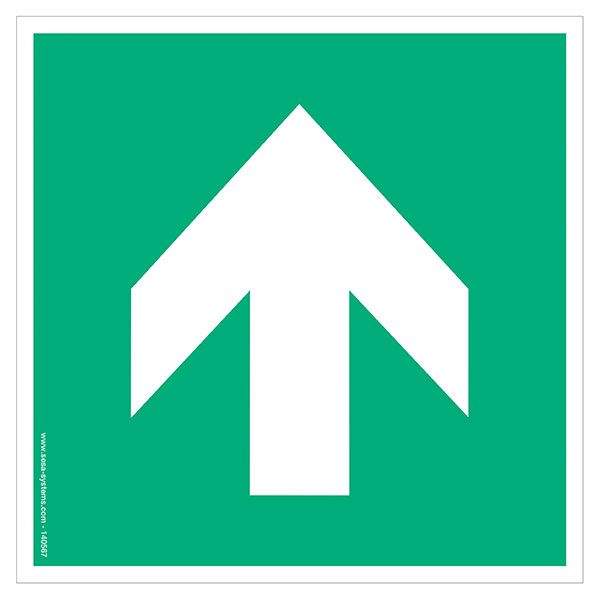 lot-de-2-pictogrammes-adhesif-standard-fleche-l-100-mm